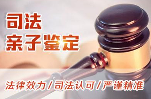 张家界司法DNA亲子鉴定条件和材料,张家界司法DNA亲子鉴定出结果要多久