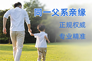 同一父系亲缘关系鉴定